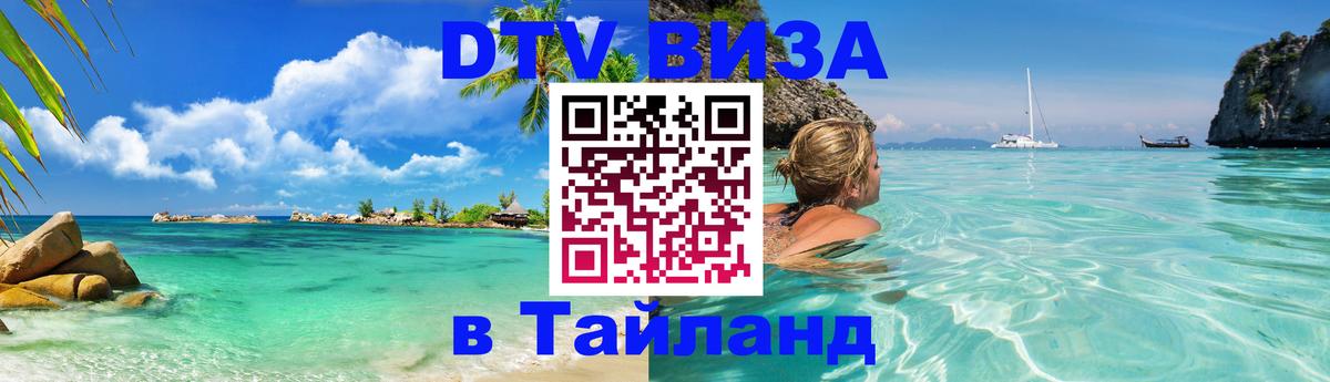 Оформление DTV визы под ключ: стоимость и тарифы, только загранпаспорт - 20.11.2025 